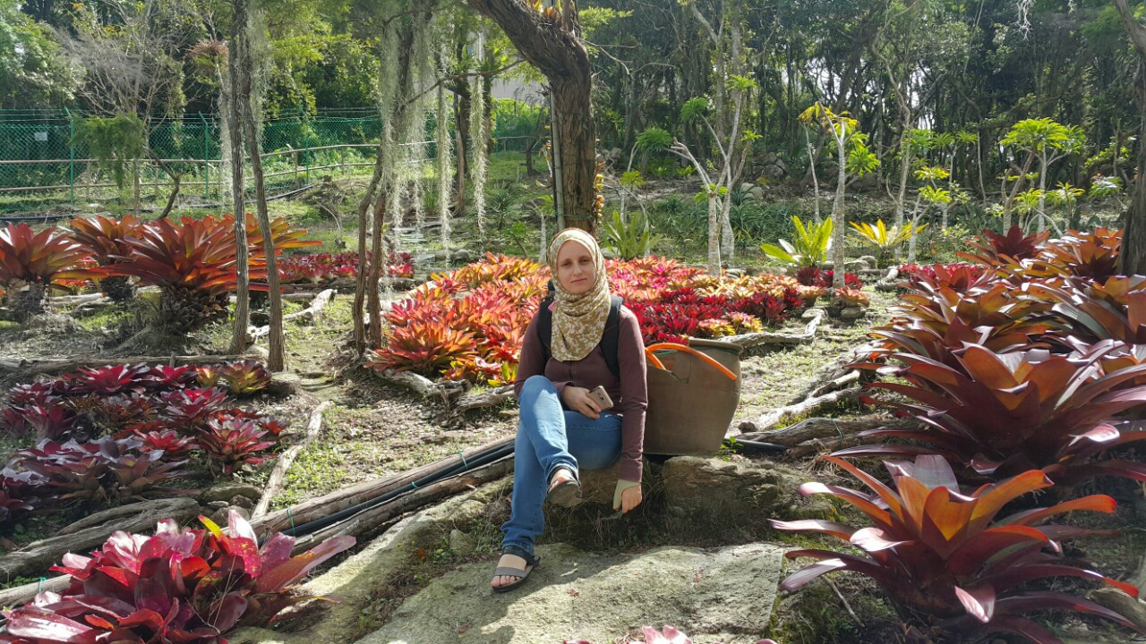 Gunung Jerai Botanical Park Largest Collection And Rare Orchids