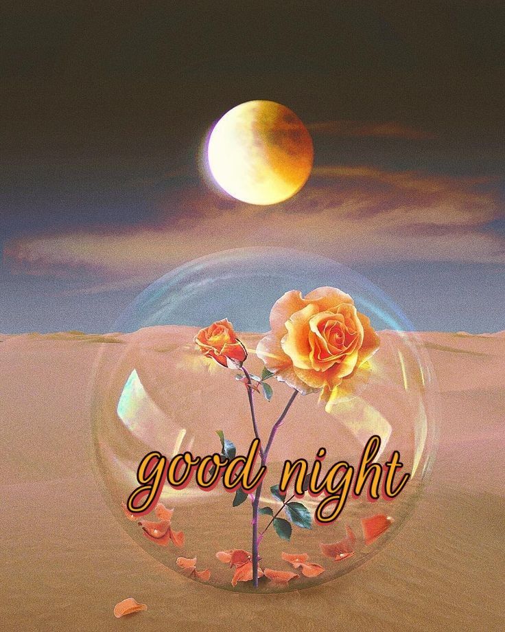 good night cute images