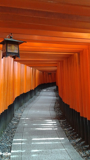 Camino de Toriis rojos en el Templo Fushimi-Inari