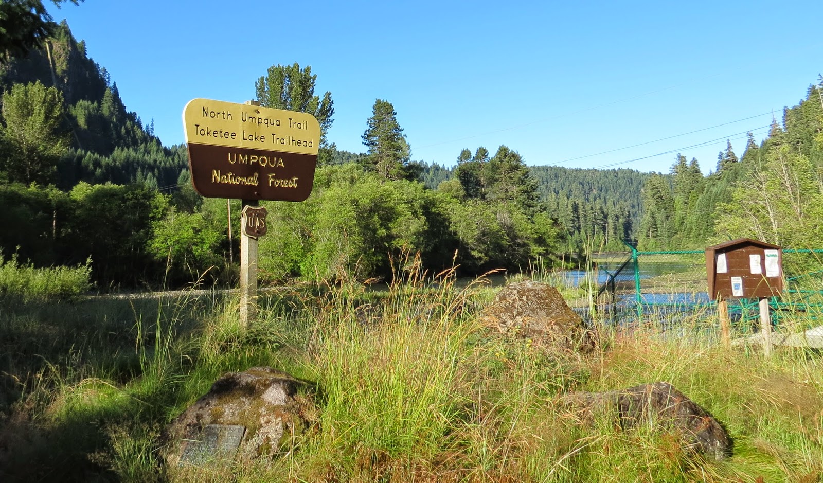 Where's Liz? 2014 Toketee Campground, Umpqua National Forest, Oregon
