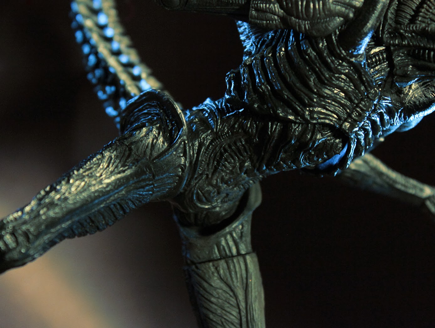 житель чужих