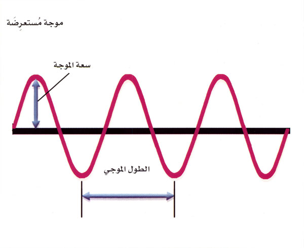 الموجات الطولية والمستعرضة Longitudinal And Transverse Waves