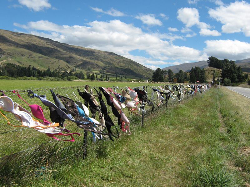 The Cardrona Bra Fence, New Zealand