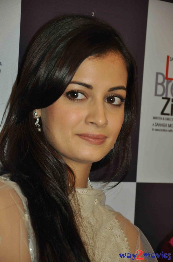 Free gallery pornstar celeste