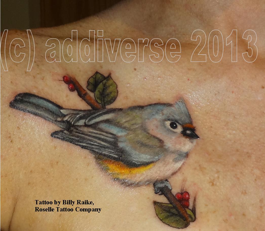 This weeks Winter Bird Series flash page before paint Tufted Titmouse and  Downy Woodpecker 10 of tattoo profits going  Winter bird Titmouse  Downy woodpecker