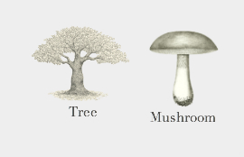 Tree Mushroom 