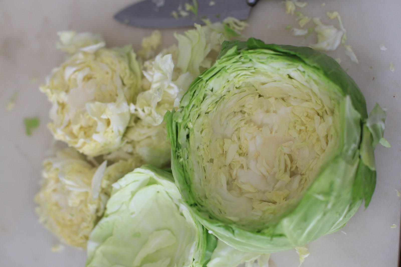 Spring Color Cabbage Flower Arrangement FRENCH COUNTRY COTTAGE