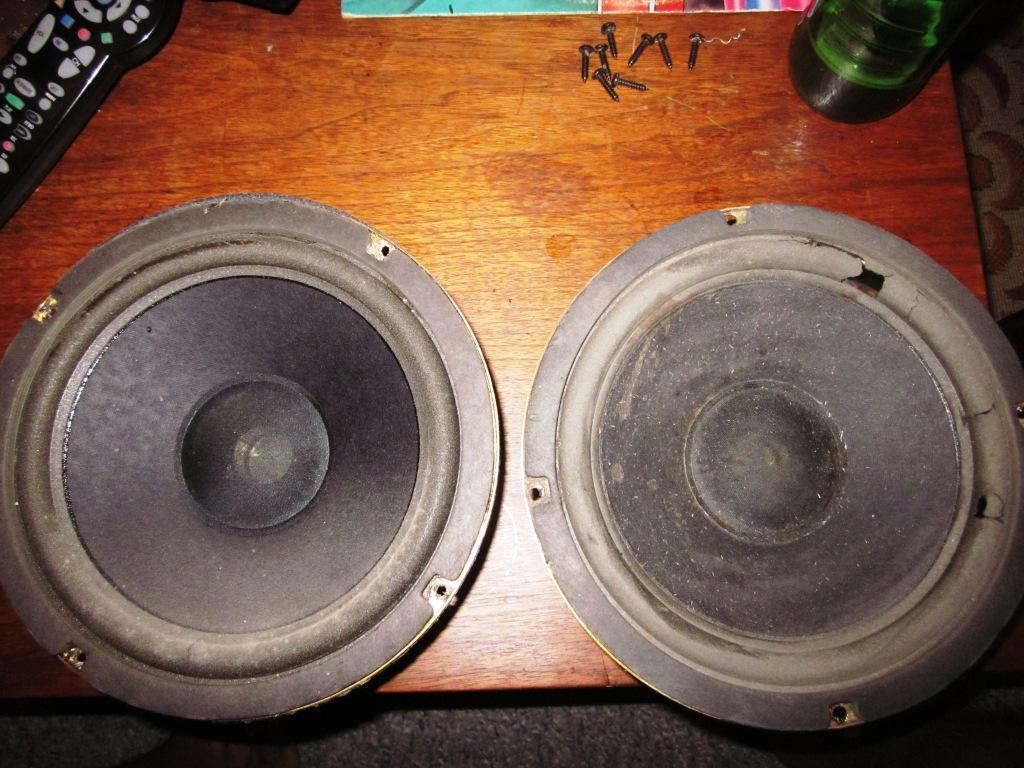 bose 601 woofer