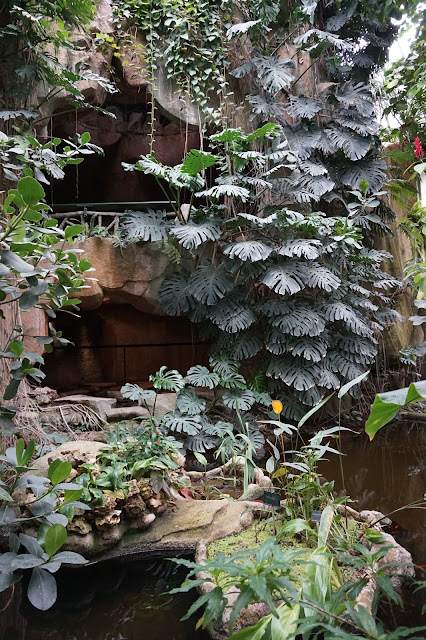 Jardin des Plantes - Serre des forêts tropicales humides