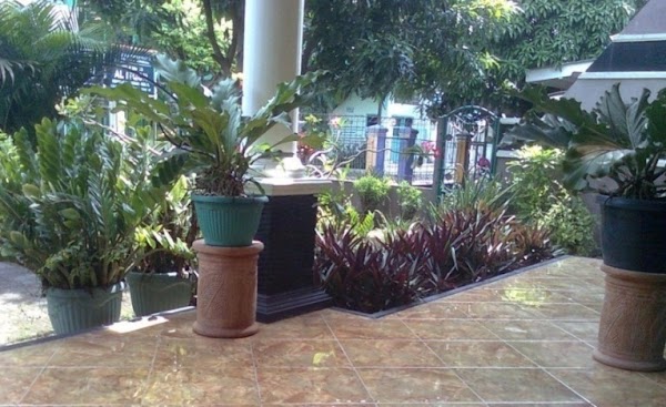 Manfaat Taman Bagi Penghuni Rumah Manfaat Taman Bagi Penghuni Rumah