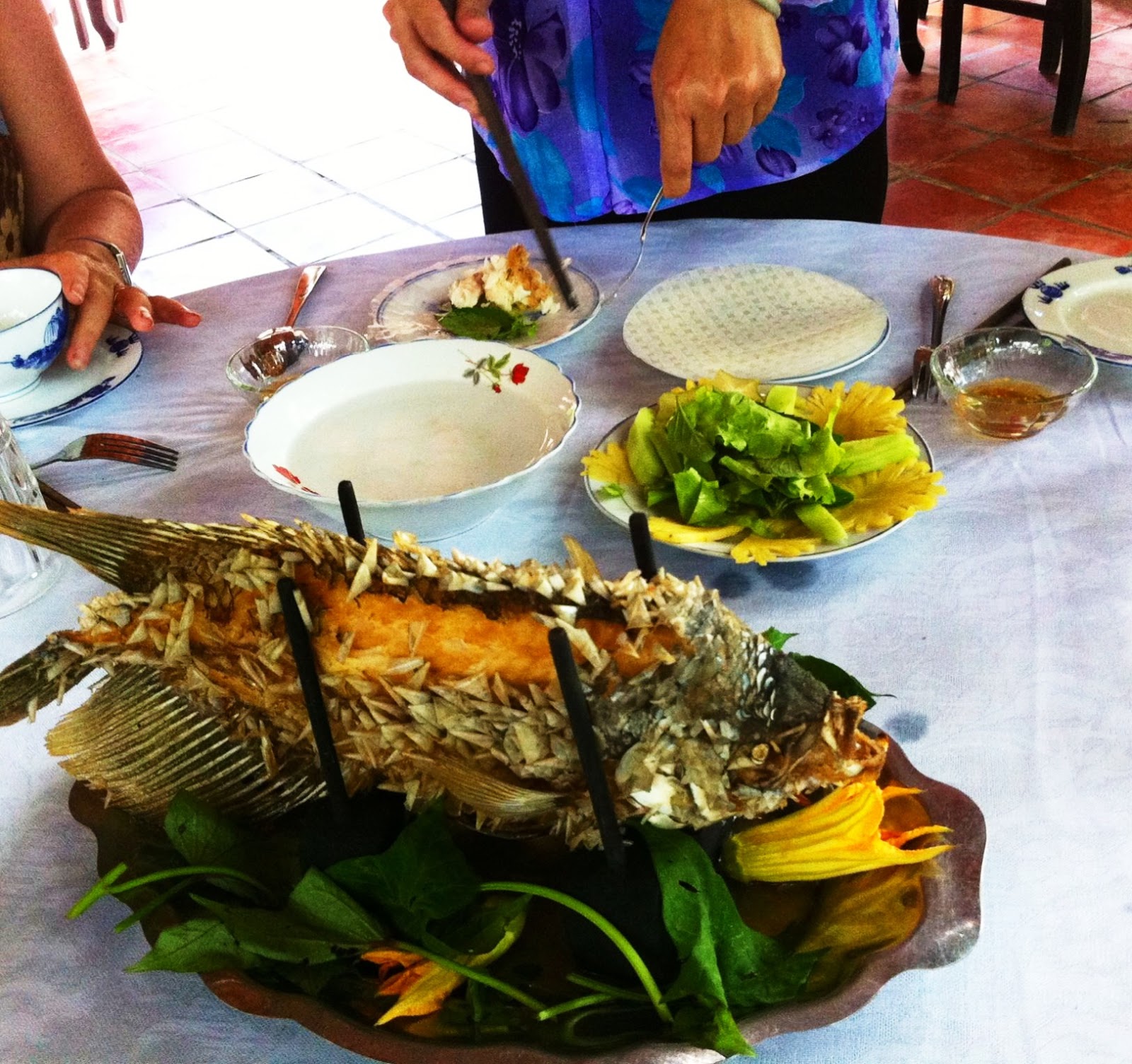Travel Sabbatical: Mekong Delta, The 