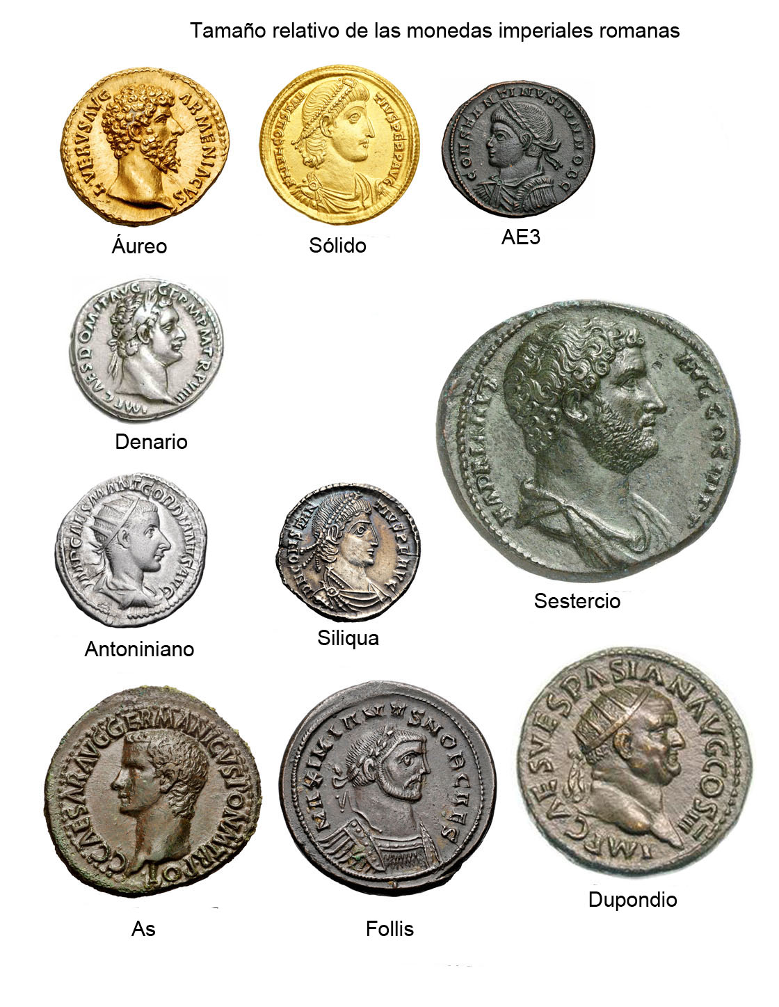 Tabla básica para identificar monedas del Imperio Romano Monedas
