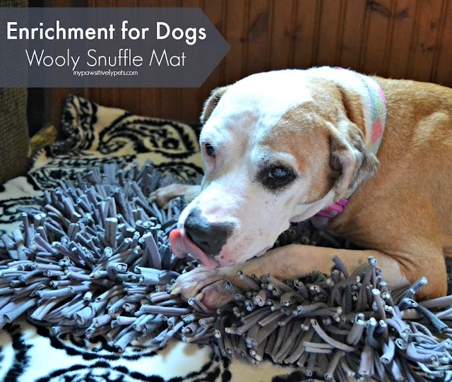 This snuffle mat mimics grass so dogs can hunt for treats and