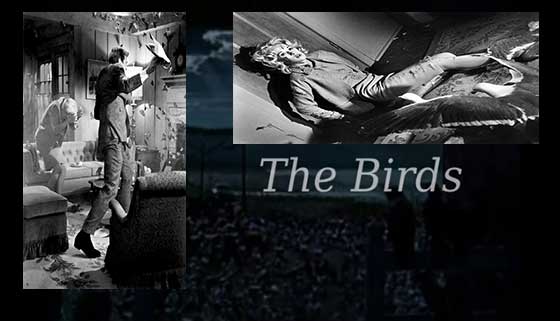 The Birds En İyi 12 Felaket Filmi
