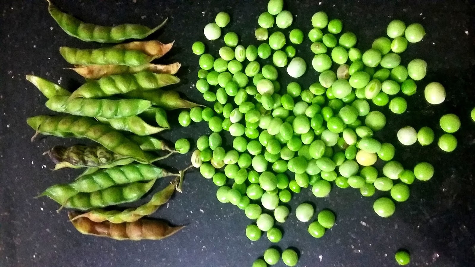 KannaArun Aviri Kudumulu Recipe in Telangana Style with Kandi ginjalu (Pigeon peas)