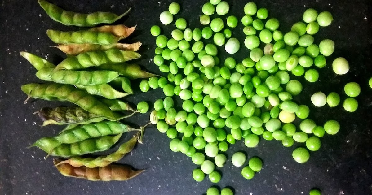 KannaArun: Aviri Kudumulu Recipe in Telangana Style with Kandi ginjalu