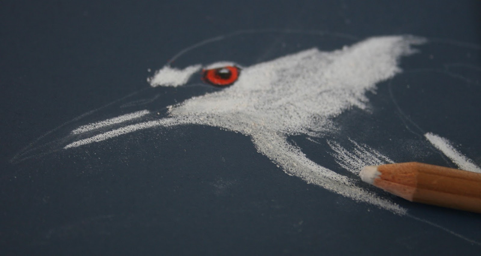 Starrpoint Using Wax Blender Pencil