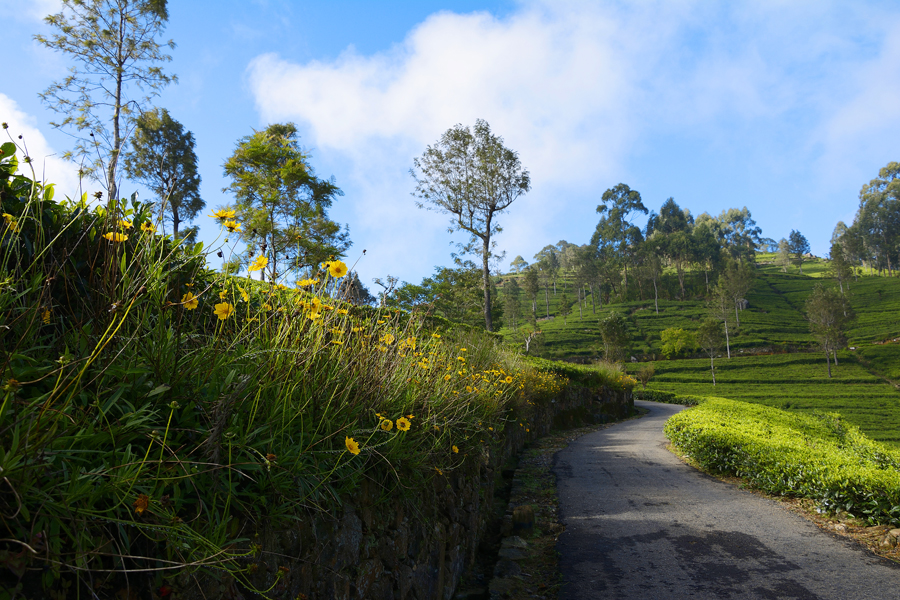 LIPTON'S SEAT, SRI LANKA LIPTON'S SEAT, SRI LANKA