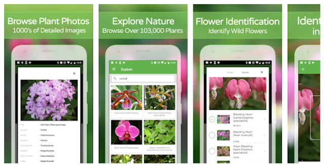PlantSnap Mobile App - Identify Plants, Flowers, Trees & More - Youth