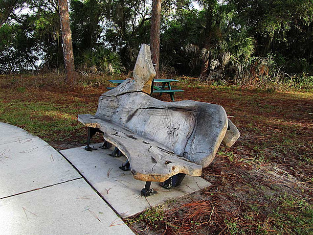 Bench by Christopher Fennell, Wall Springs Park, Palm Harbor, Florida
