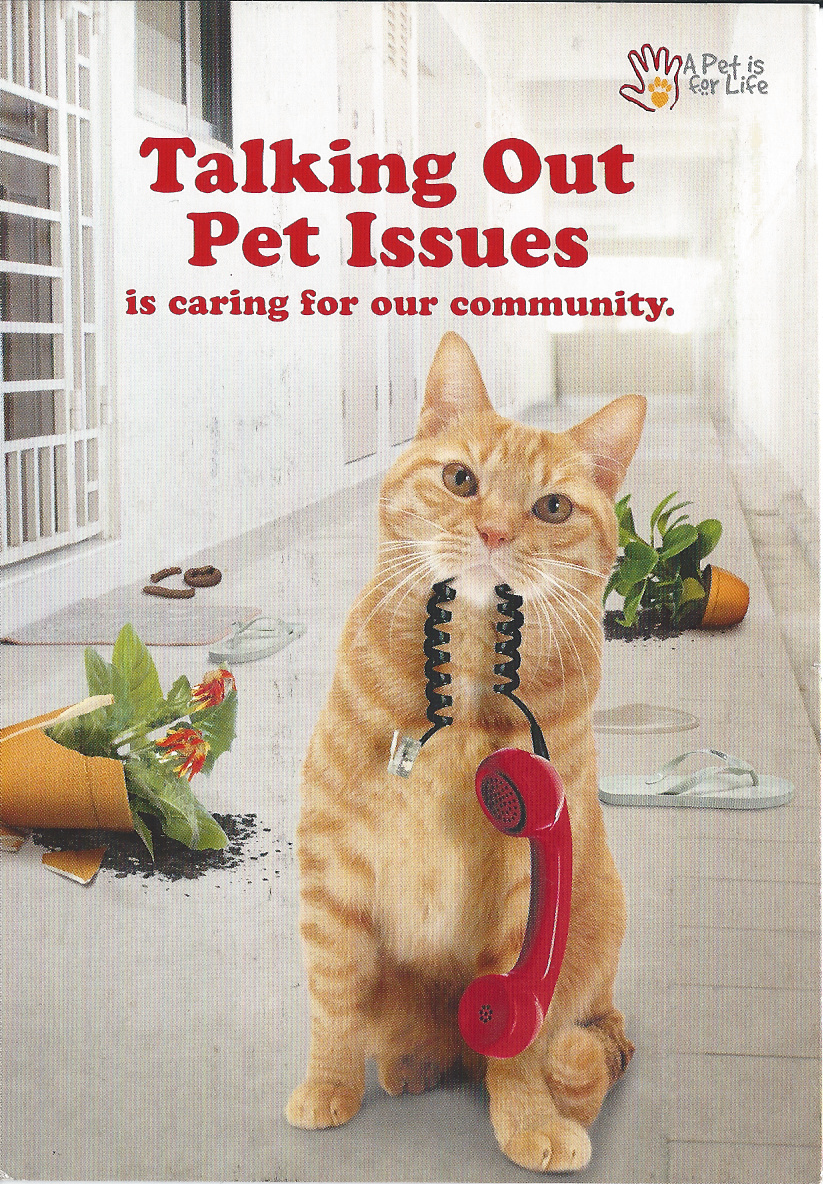 dewereldiskleinenmooi Pet Issues, kaart van LiJie uit Singapore