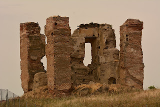 Fotografia_Abuelohara_Nikon