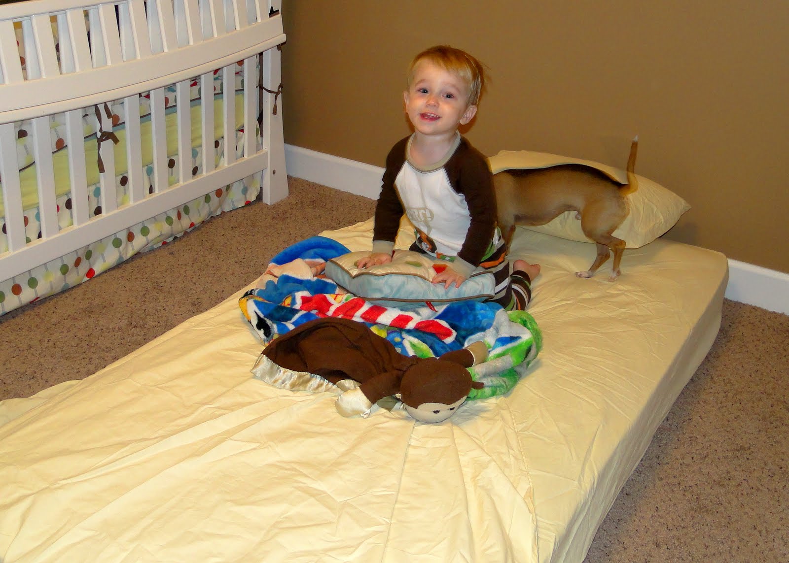 Transition to the Big Boy Bed The Journey of Parenthood...