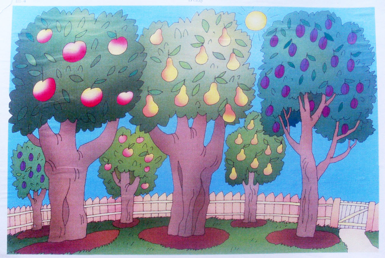 Картинка сад для детей. Фруктовые деревья для детей. Фруктовые деревья для дошкольников. Фруктовый сад дети. Плодовый сад для детей.