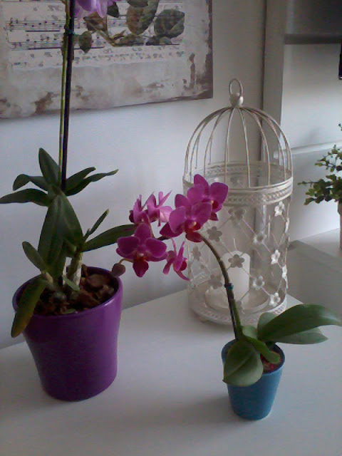 casa decoração romântica casa decoração romântica, blog Achados de Decoração