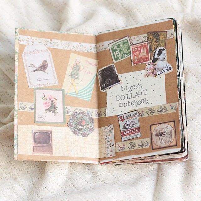 The Journal Diaries- Tuğçe's Diary / Seaweed Kisses