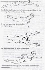 Panduan Berlatih Gaya Dada untuk Dewasa