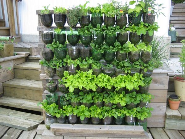 แชร์ไว้ดู ไอเดียสวนผัก DIY นำของเหลือใช้ให้กลายเป็นแปลงผักสวนครัว