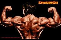 Arnold Schwarzenegger Pictures