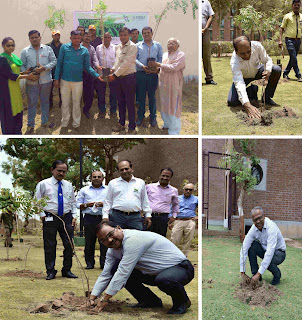 Cadila Pharmaceuticals planted 2000 saplings to celebrate ‘World Environment Day’ Cadila Pharmaceuticals planted 2000 saplings to celebrate ‘World Environment Day’