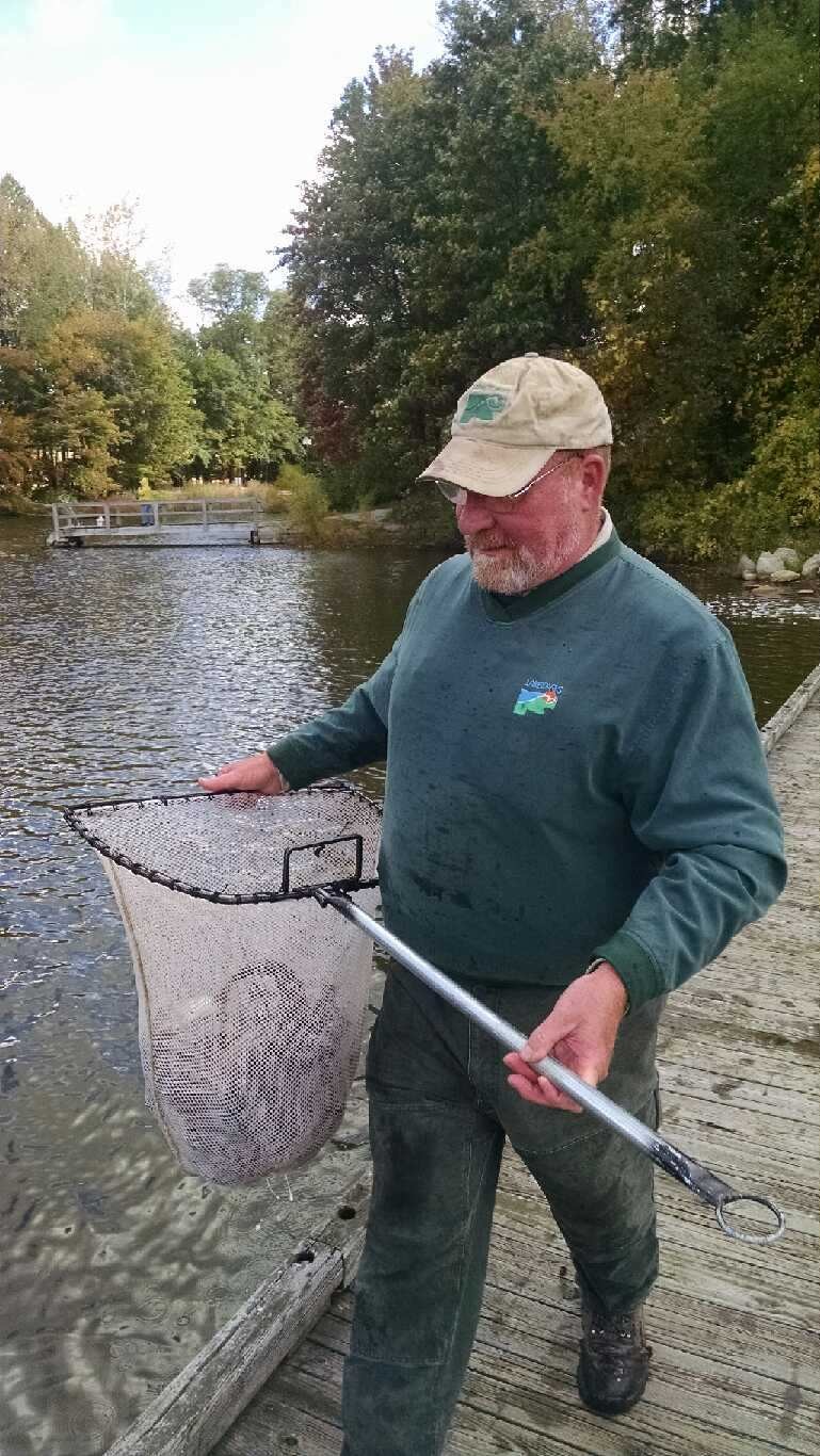 Lake Metroparks Fishing Report Fall Trout stocking completed today at Veterans Park