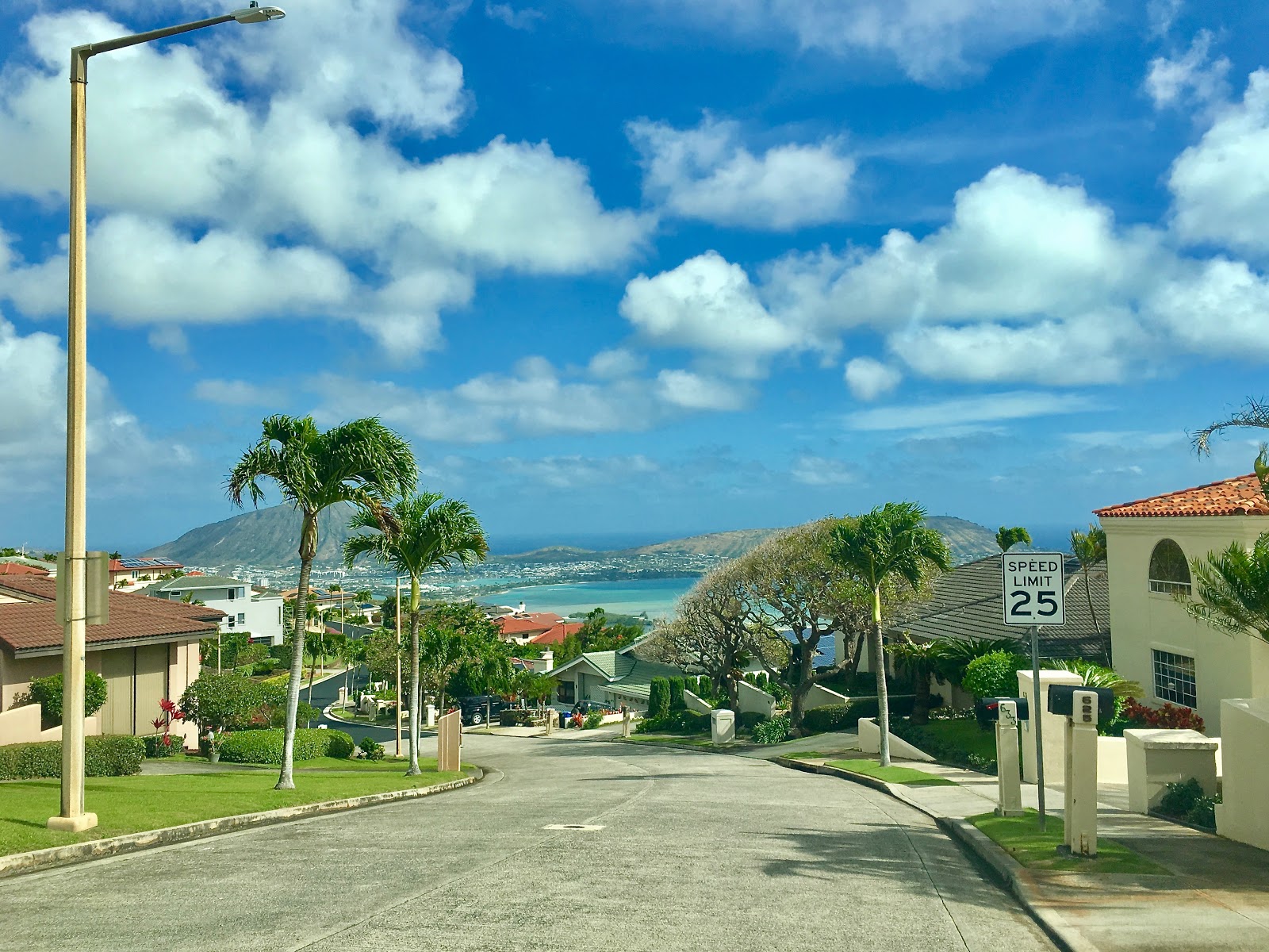 ããã¯ã¤ããªã¼ãã³ãã¦ã¹ãã®ç»åæ¤ç´¢çµæ