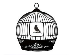 Hukum Mengurung Burung Dalam Sangkar Hidayah Sunnah
