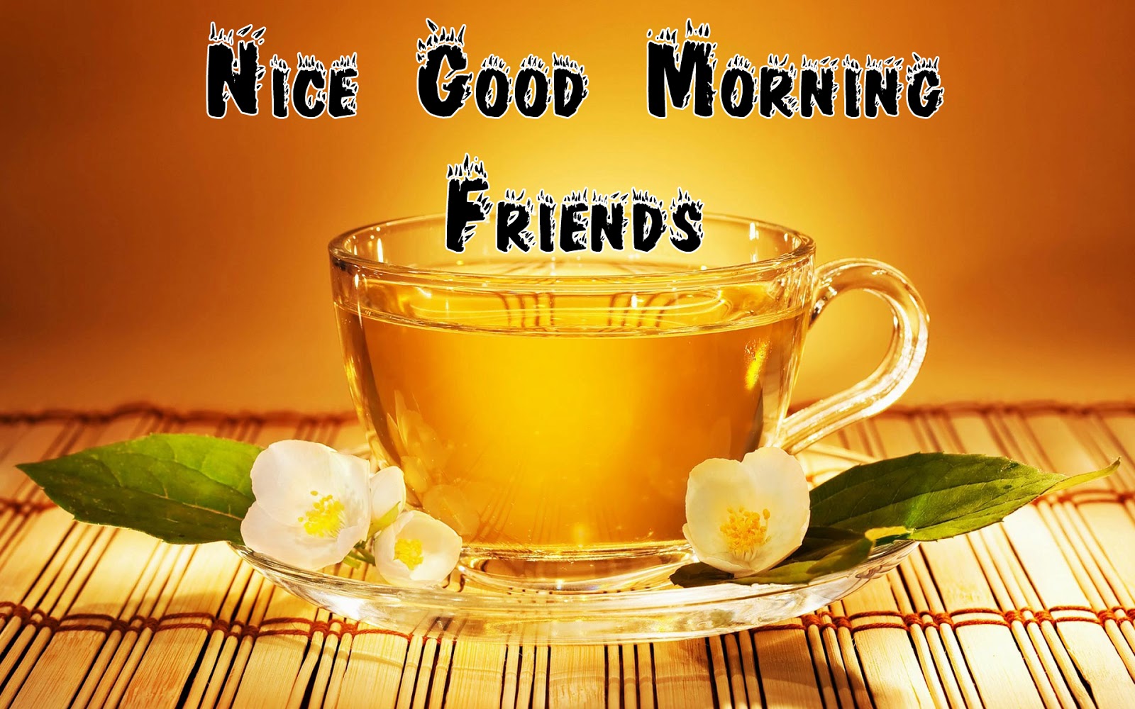 HQ Wallpapers Arena Nice Good Morning Friends Wallpaper hq-wallpapers-arena-nice-good-morning-friends-wallpaper