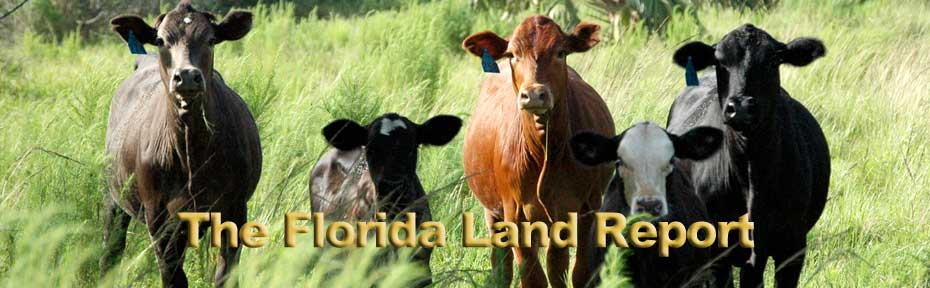 The Florida Land Report