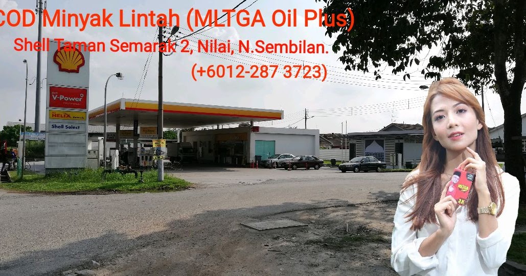 Pembekal Utama Minyak Lintah Belacak Mltga Cream Lg Gel Abang Abang Untuk Lelaki Dan Wanita Urut Batin Dan Cod 24 Jam Minyak Lintah Tradisi Gunung Asli Mltga Oil Plus Di Shell Taman