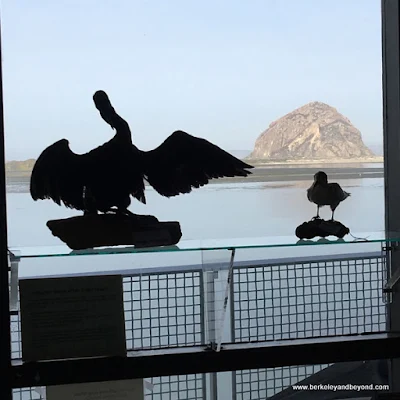 view of Morro Rock from interior of Morro Bay Museum of Natural History in Morro Bay State Park in Morro Bay, California