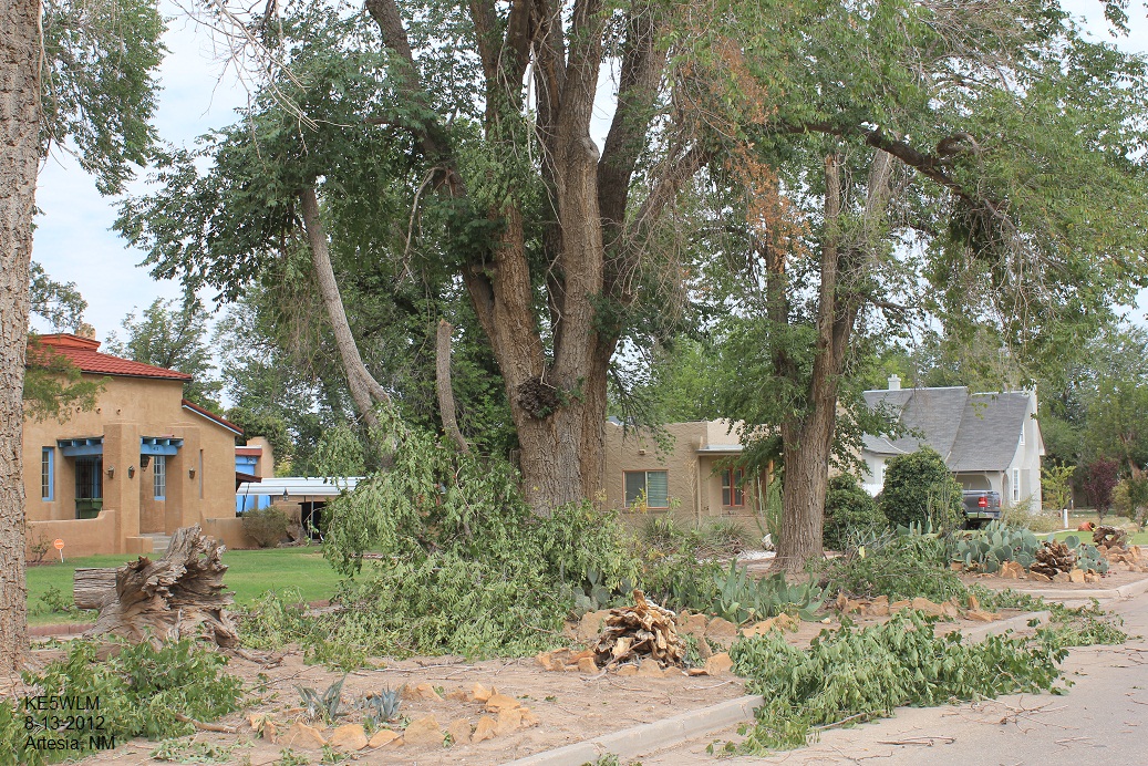 TStorm Winds Damage Trees In Artesia, NM Last Night. 8122012.