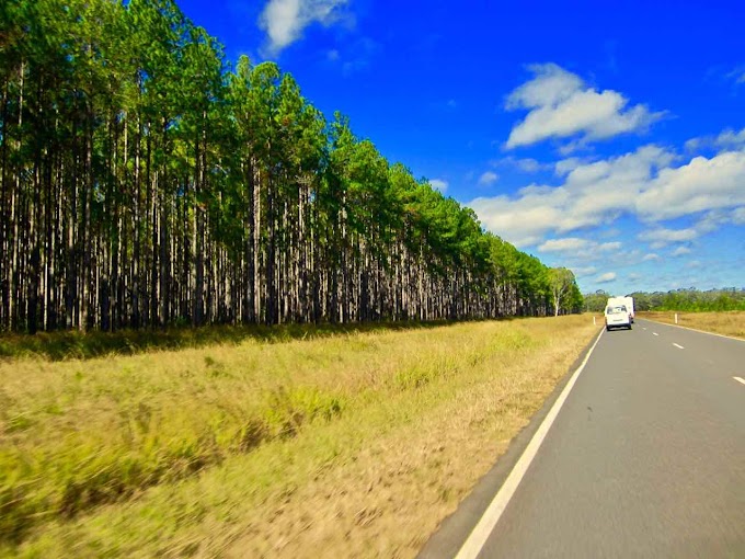 QLD Government saves Timber Jobs Gympie