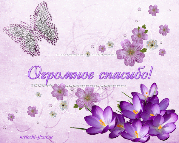 поблагодарить мужчин за поздравление с 8. спасибки за поздравления. смешные открытки с благодарностью. поблагодарить мужчин за поздравление с 8. поблагодарить за поздравления.