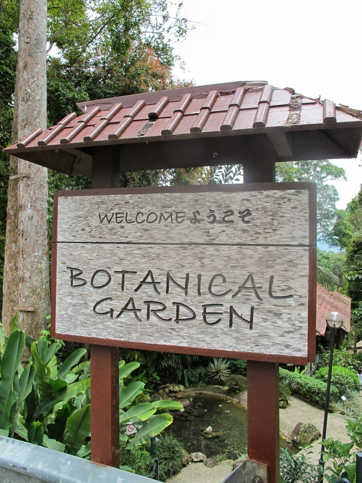 Botanical Garden and Japanese Tea House at Berjaya Hills, Bukit Tinggi
