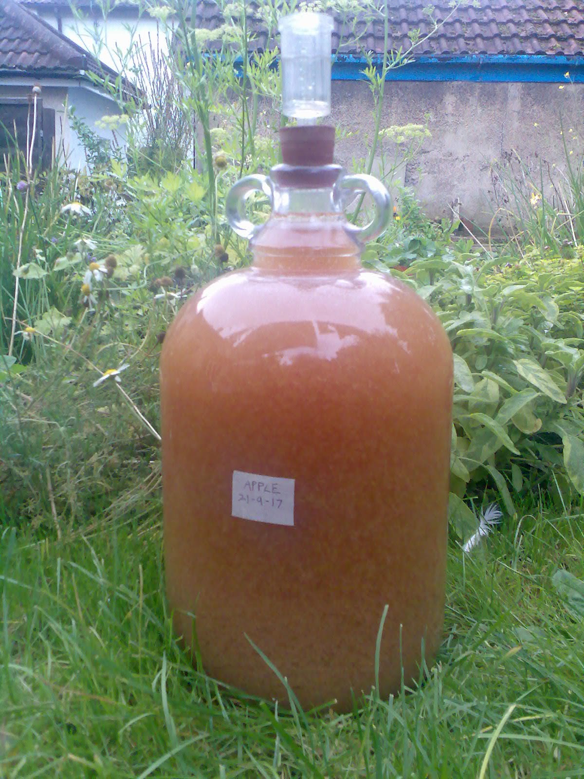 Ben's Adventures in Wine Making Apple Wine and Apple & Strawberry Wine