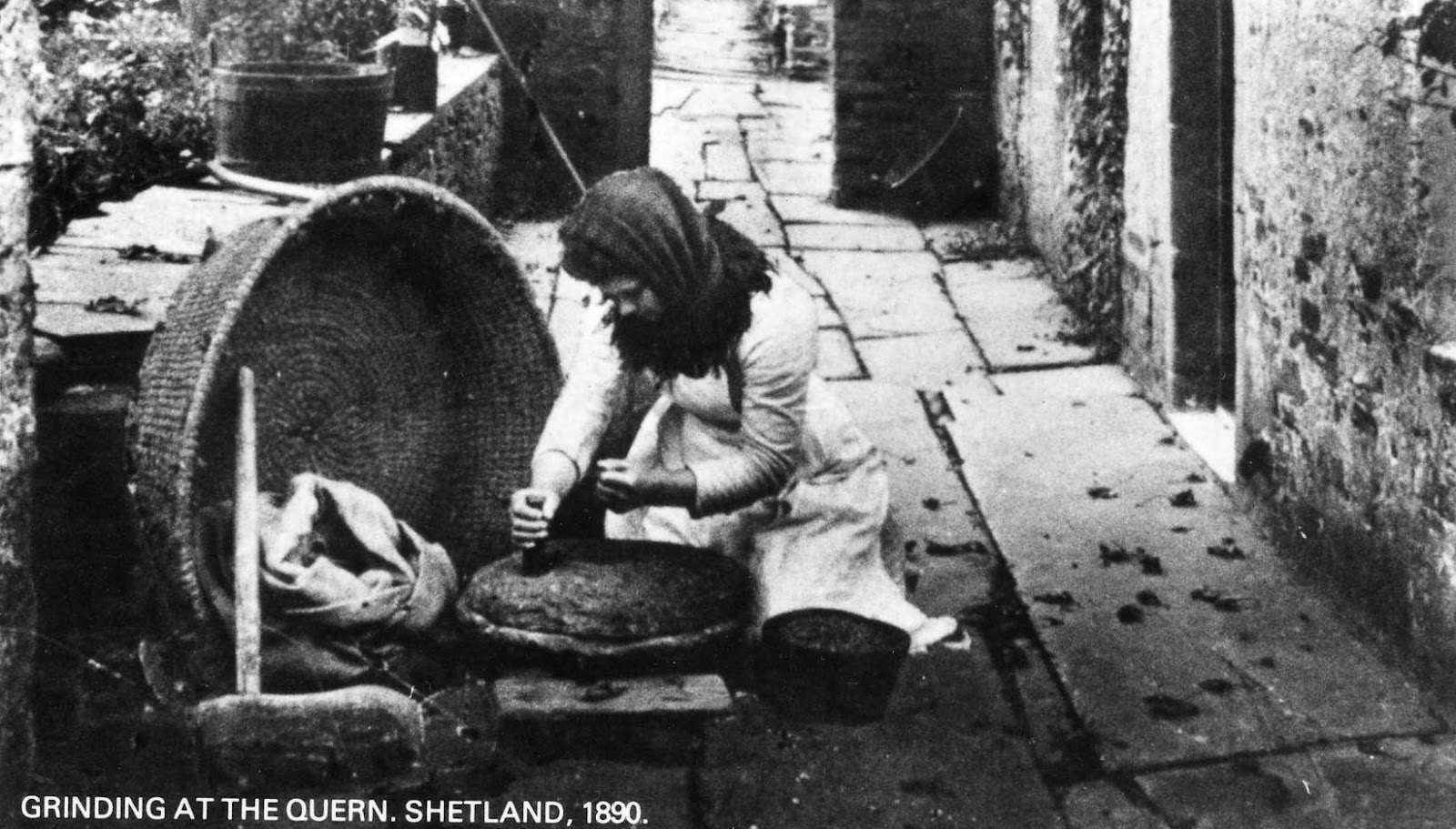 Lois Walpole Straws in the Wind