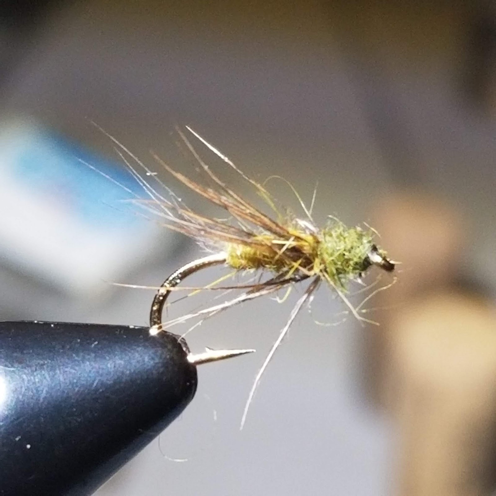 to the Millers River Fly Fishing Forum Steelie And Shad