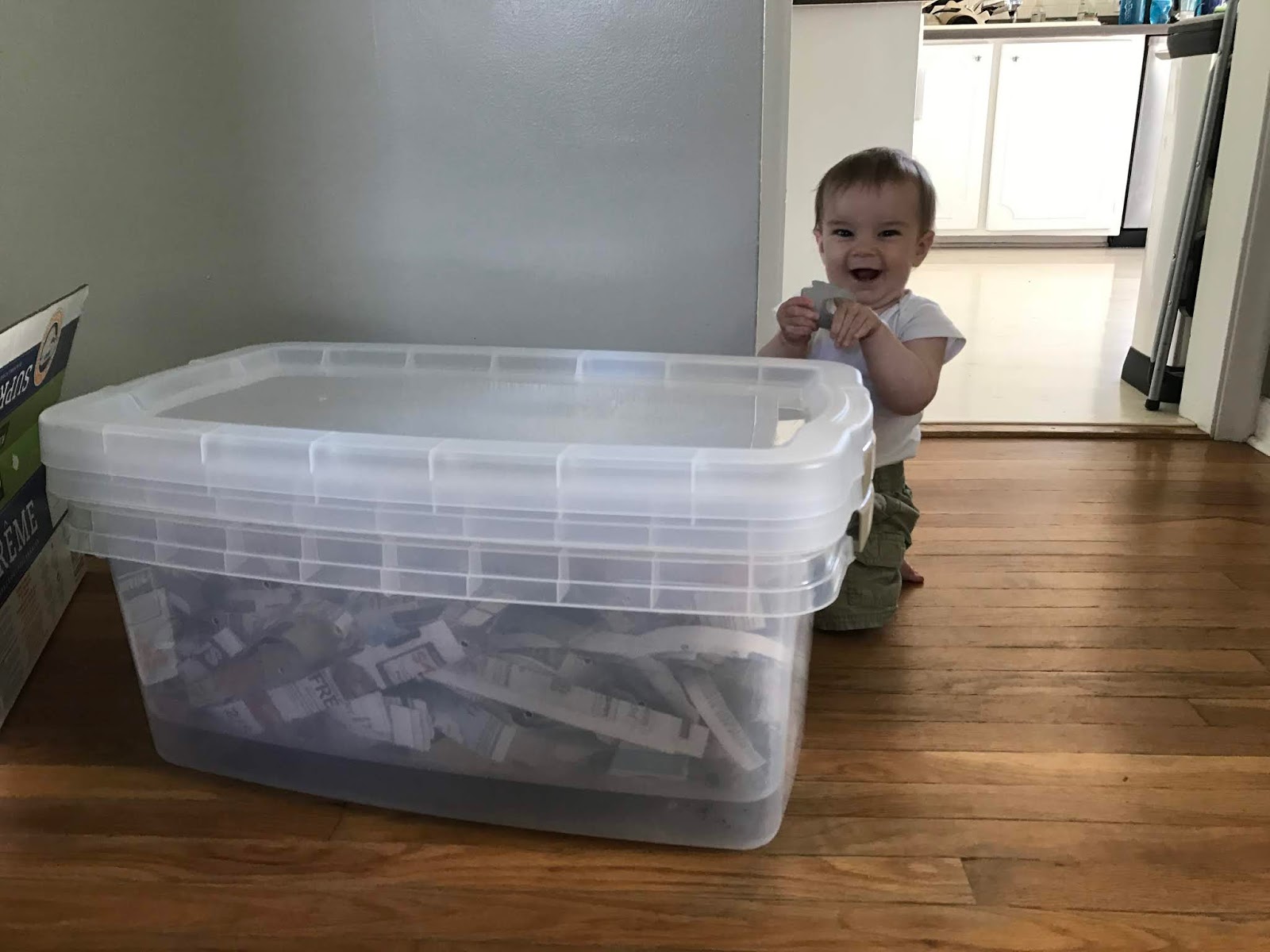 Build Your Own INDOOR Worm Bin