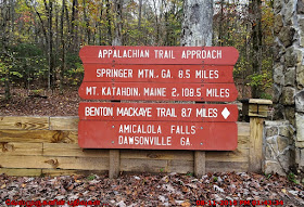 Trailsin Amicalola Falls State Park